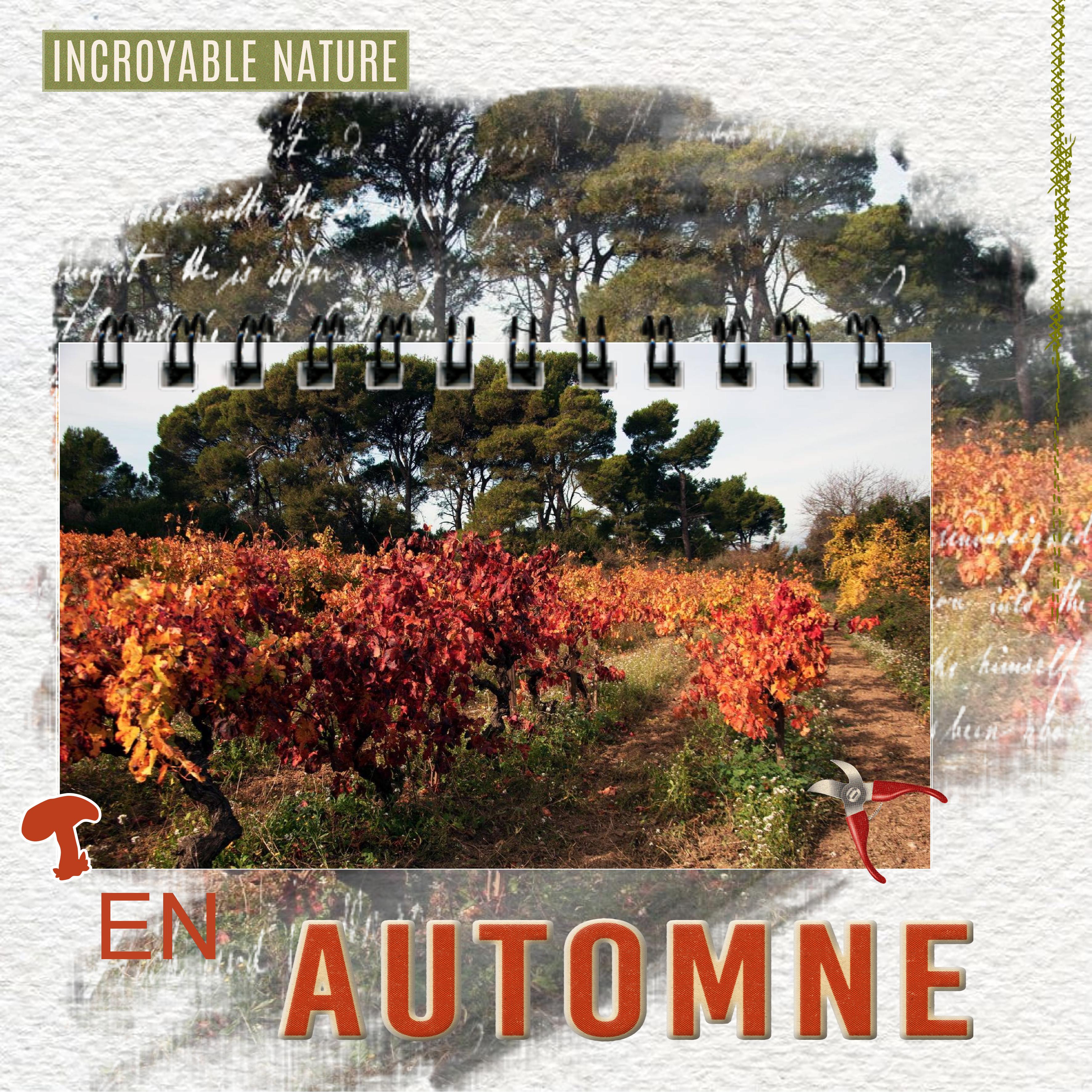 automne-scraptober-2.jpg