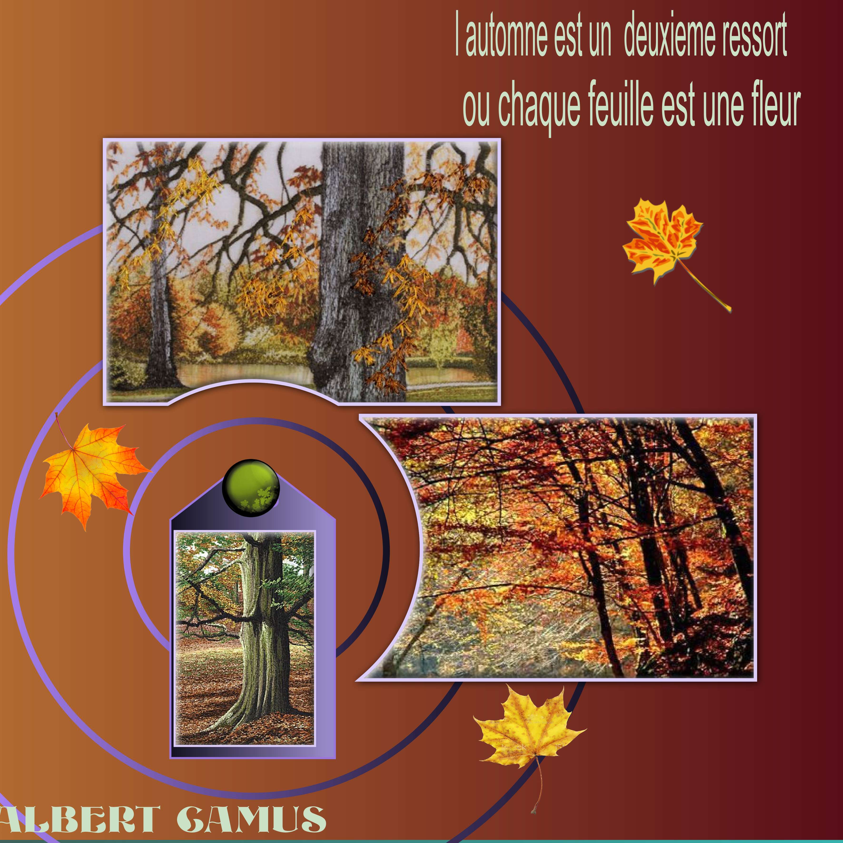 automne sur un model de notre GILBERTE.jpg