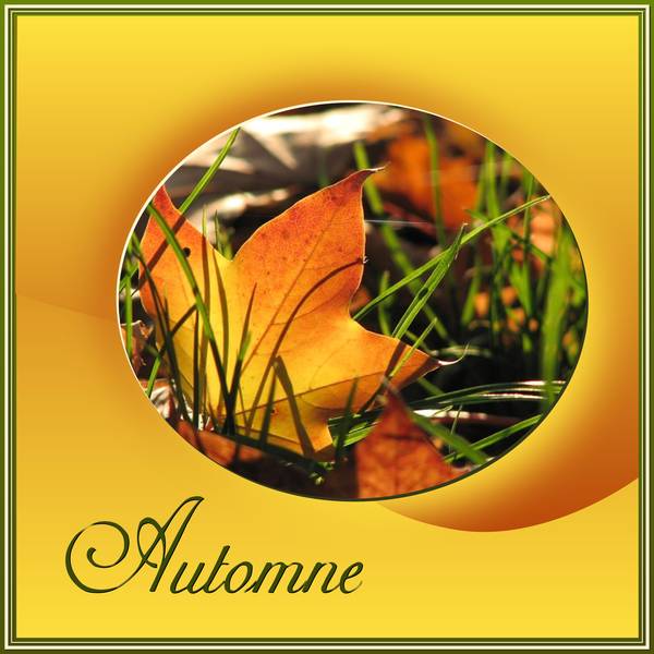 AUTOMNE
