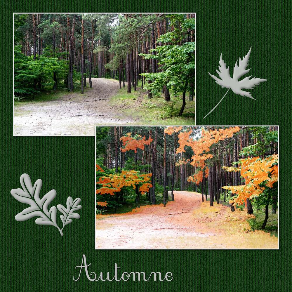 AUTOMNE