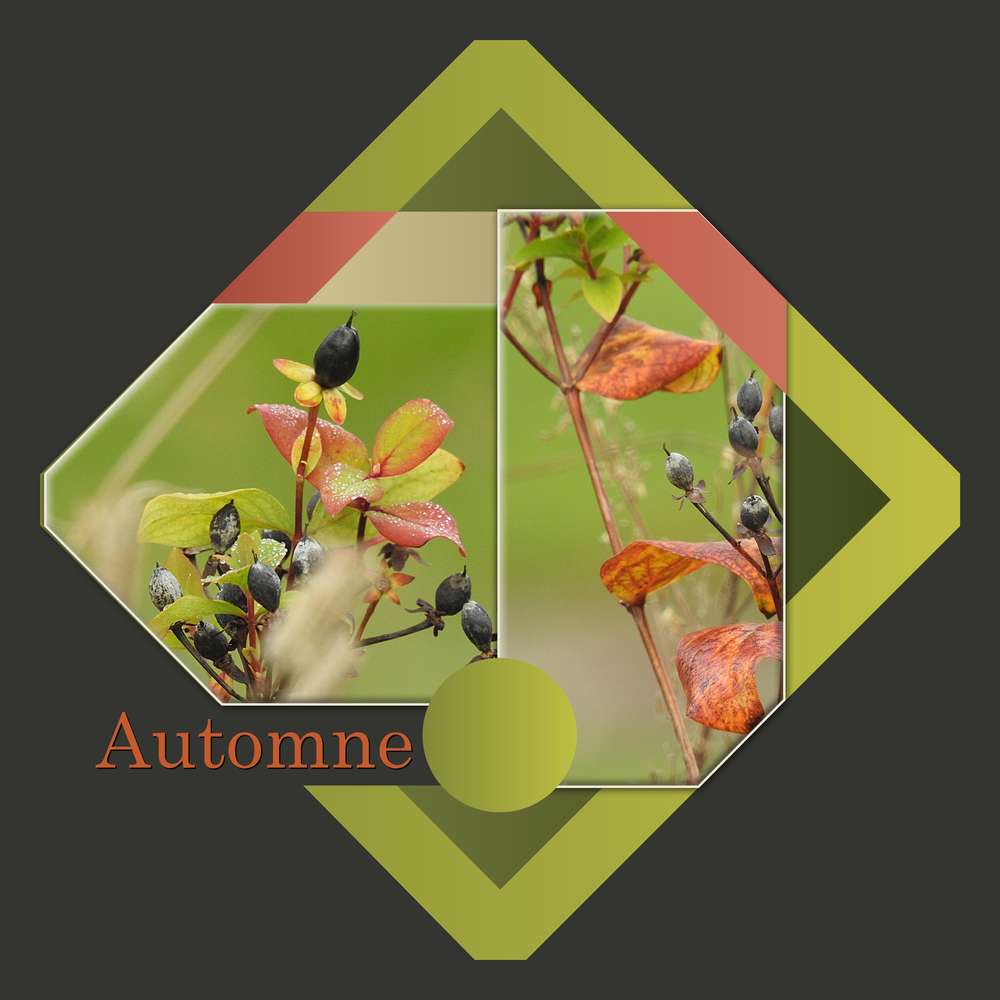 AUTOMNE