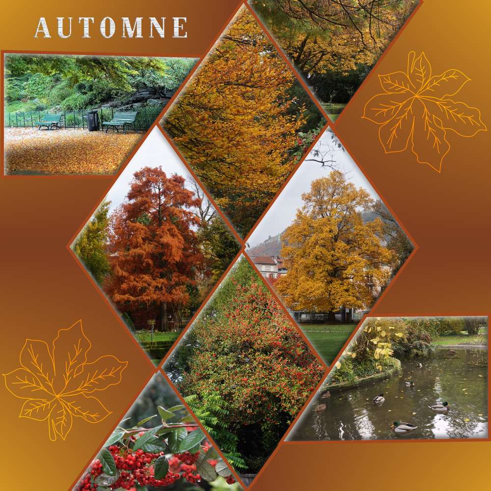 Automne