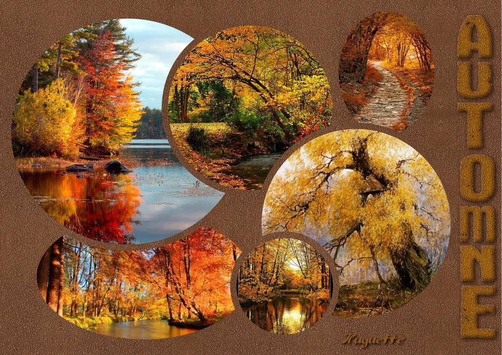 Automne88