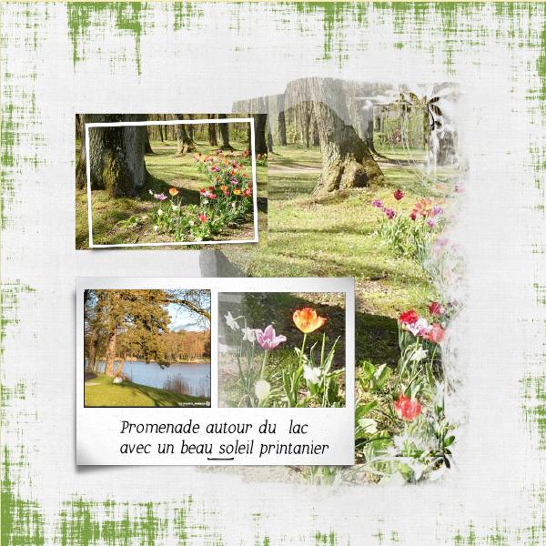 autour du lac.jpg