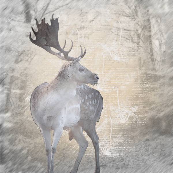 autre essai peinture avec le tuto de Malou