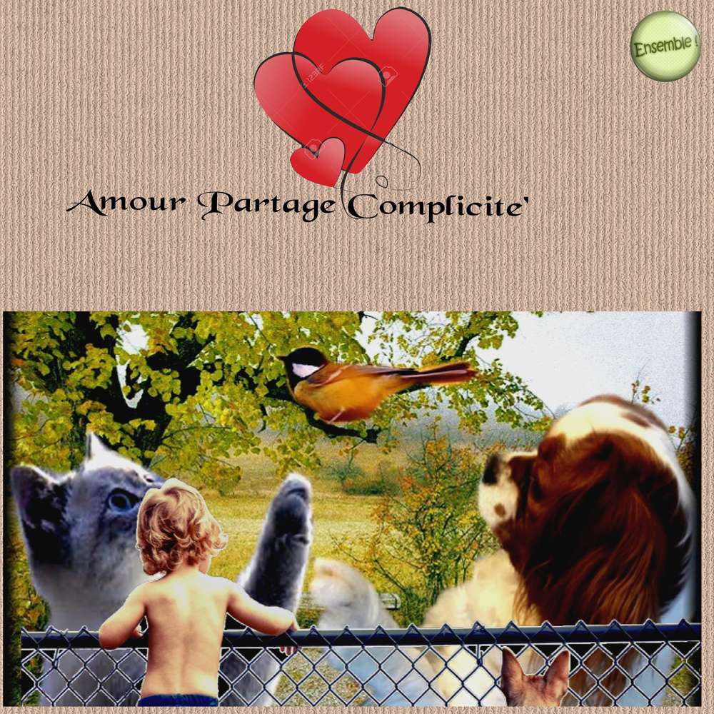 autre_complicit_e_du_21_04_2017