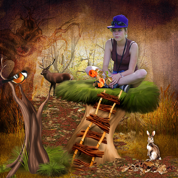 Autumn_forest_1_de_Kittyscrap