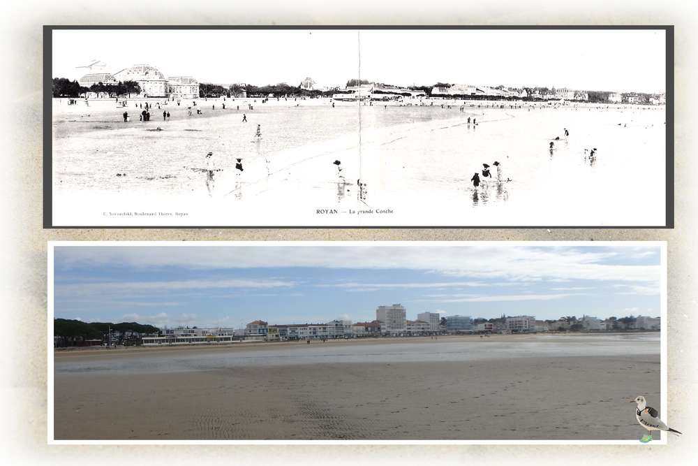 Avant après-la grande conche