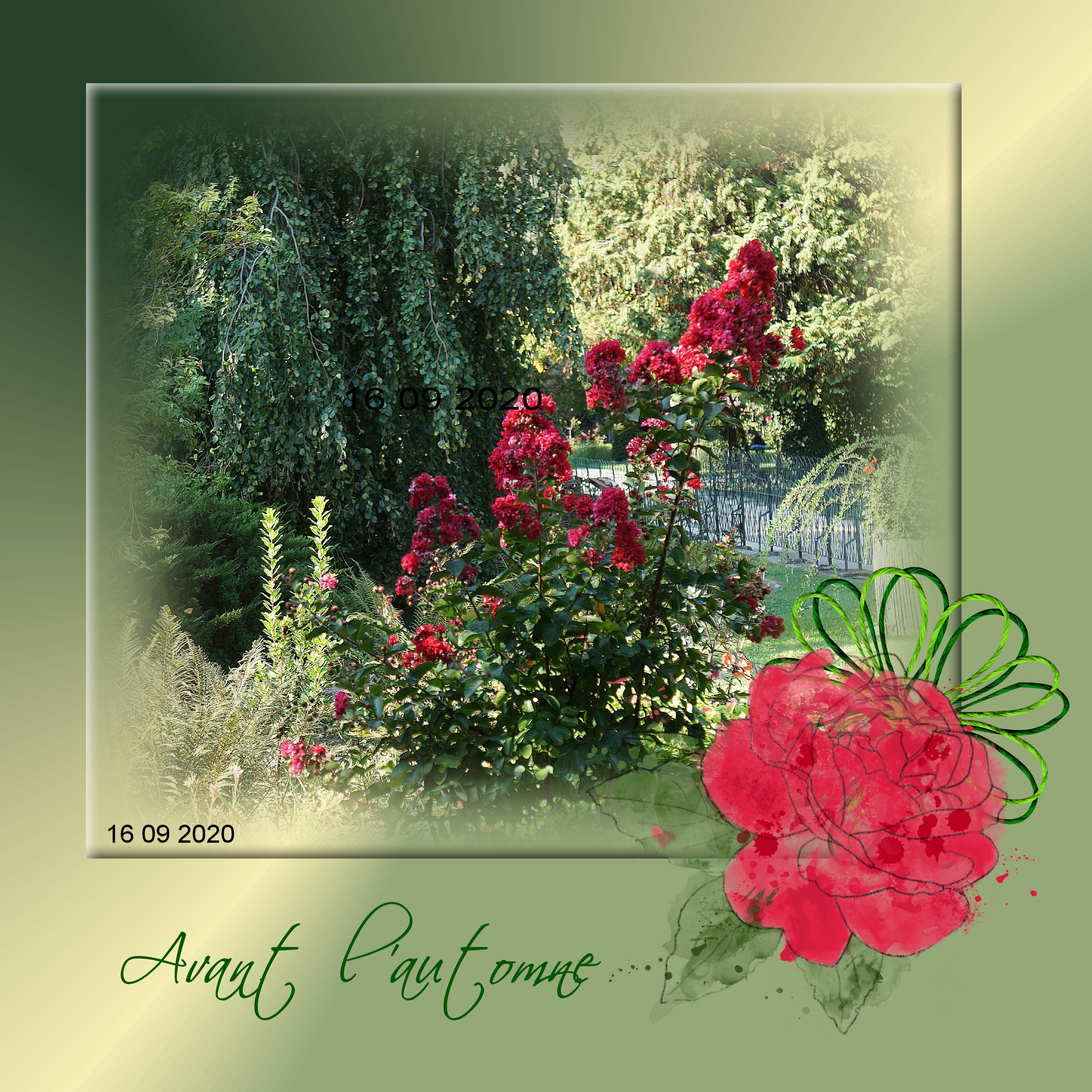 avant l'automne 16 09 2020.jpg