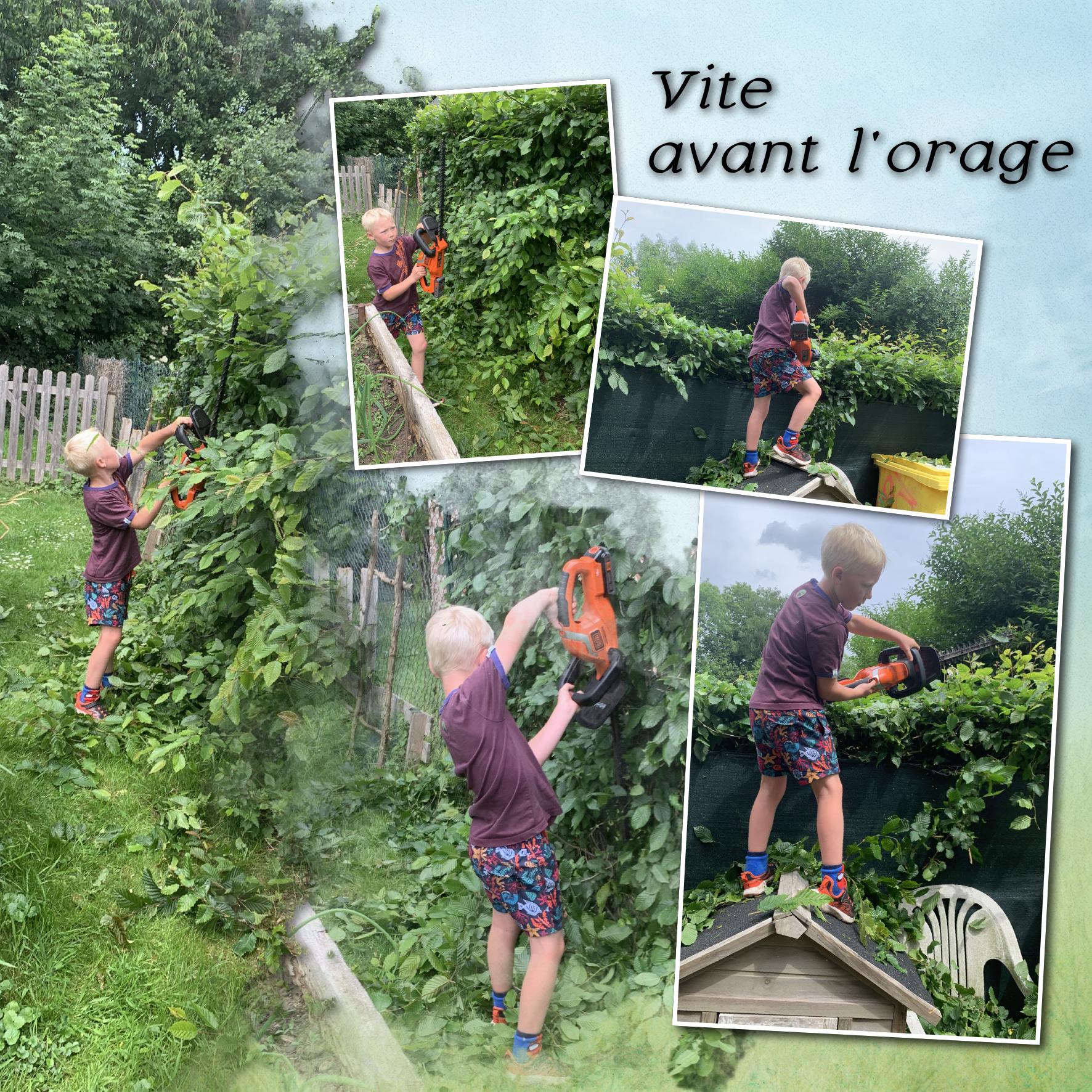 Avant l'orage.jpg
