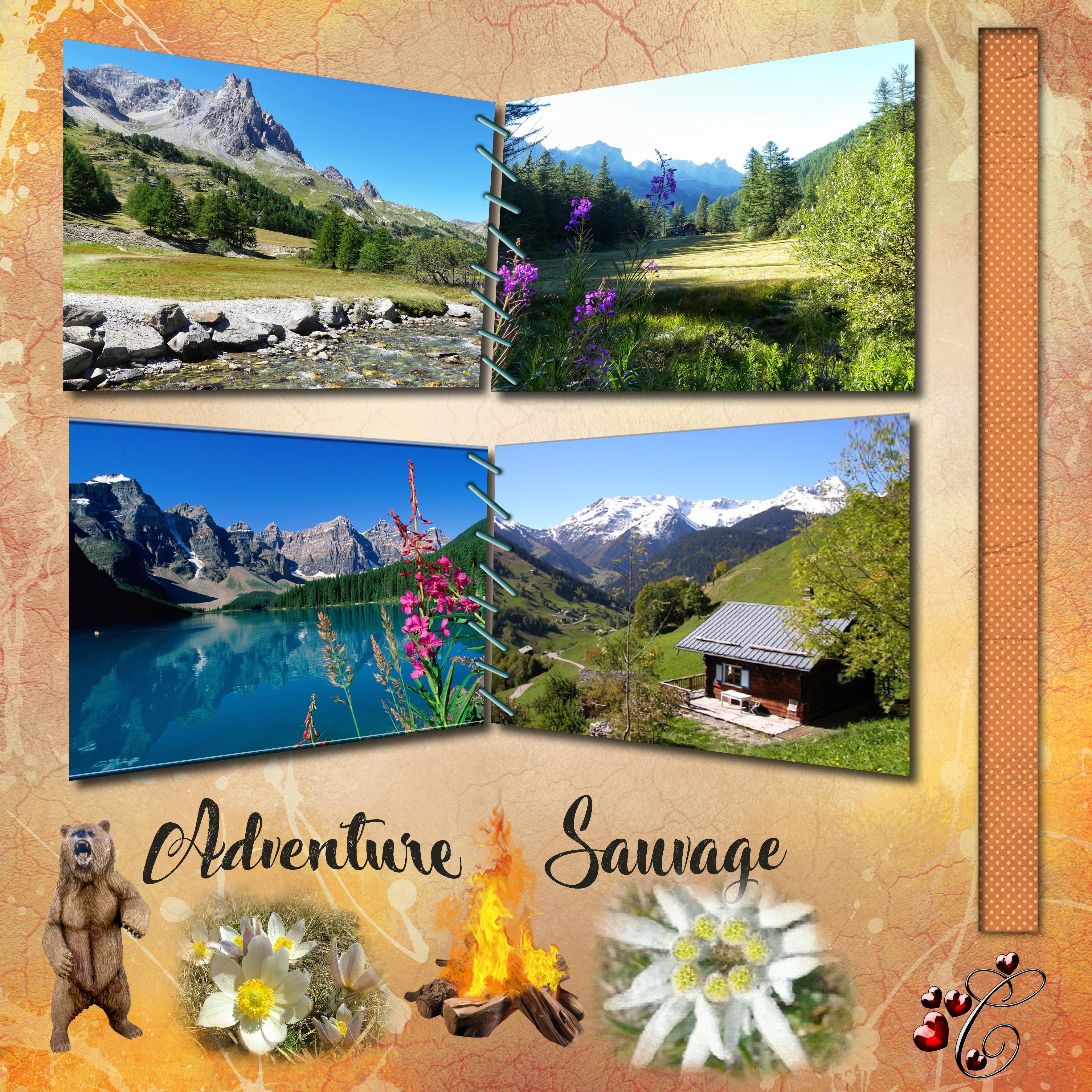 aventure sauvage.jpg