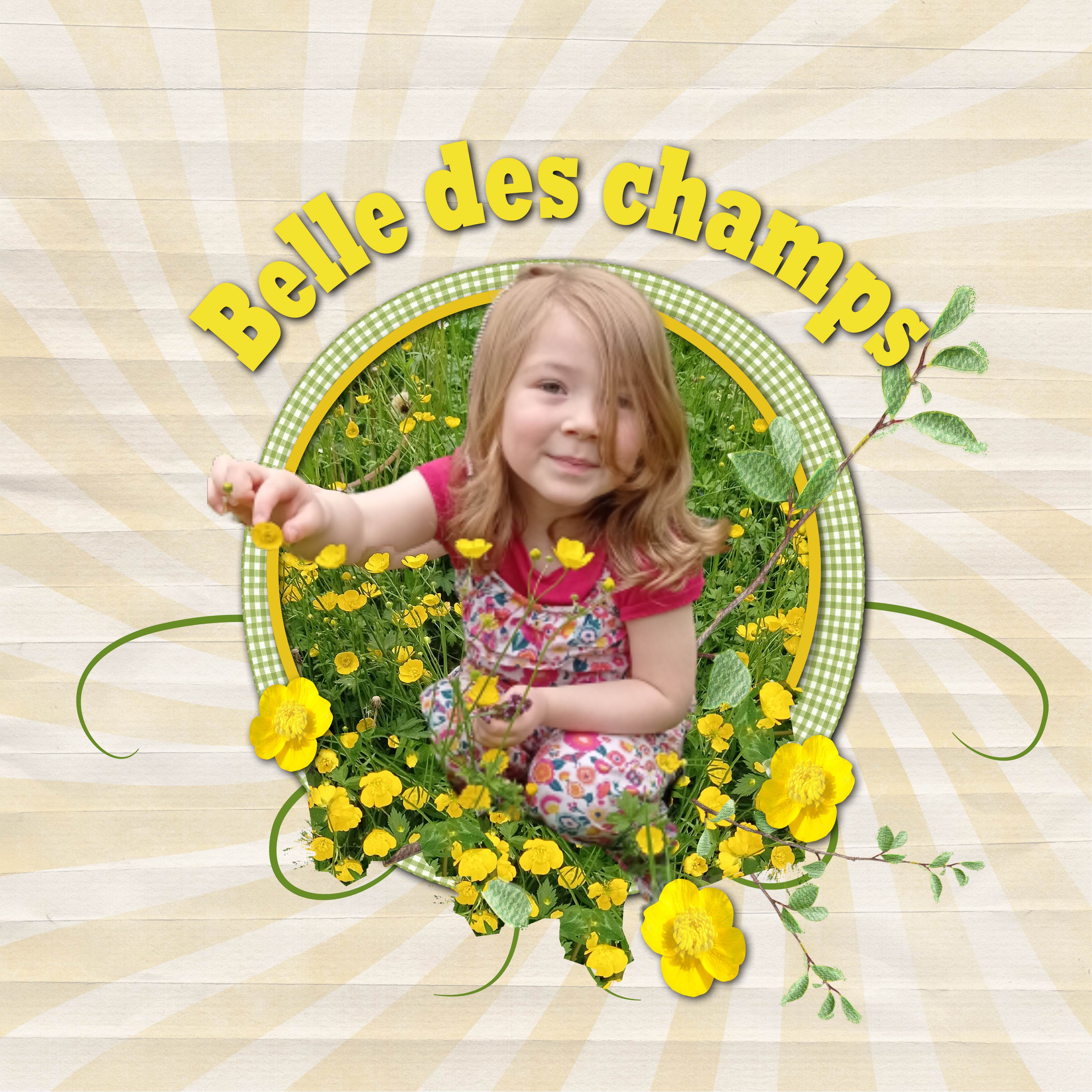 AZILIZ BELLE DES CHAMPS.jpg