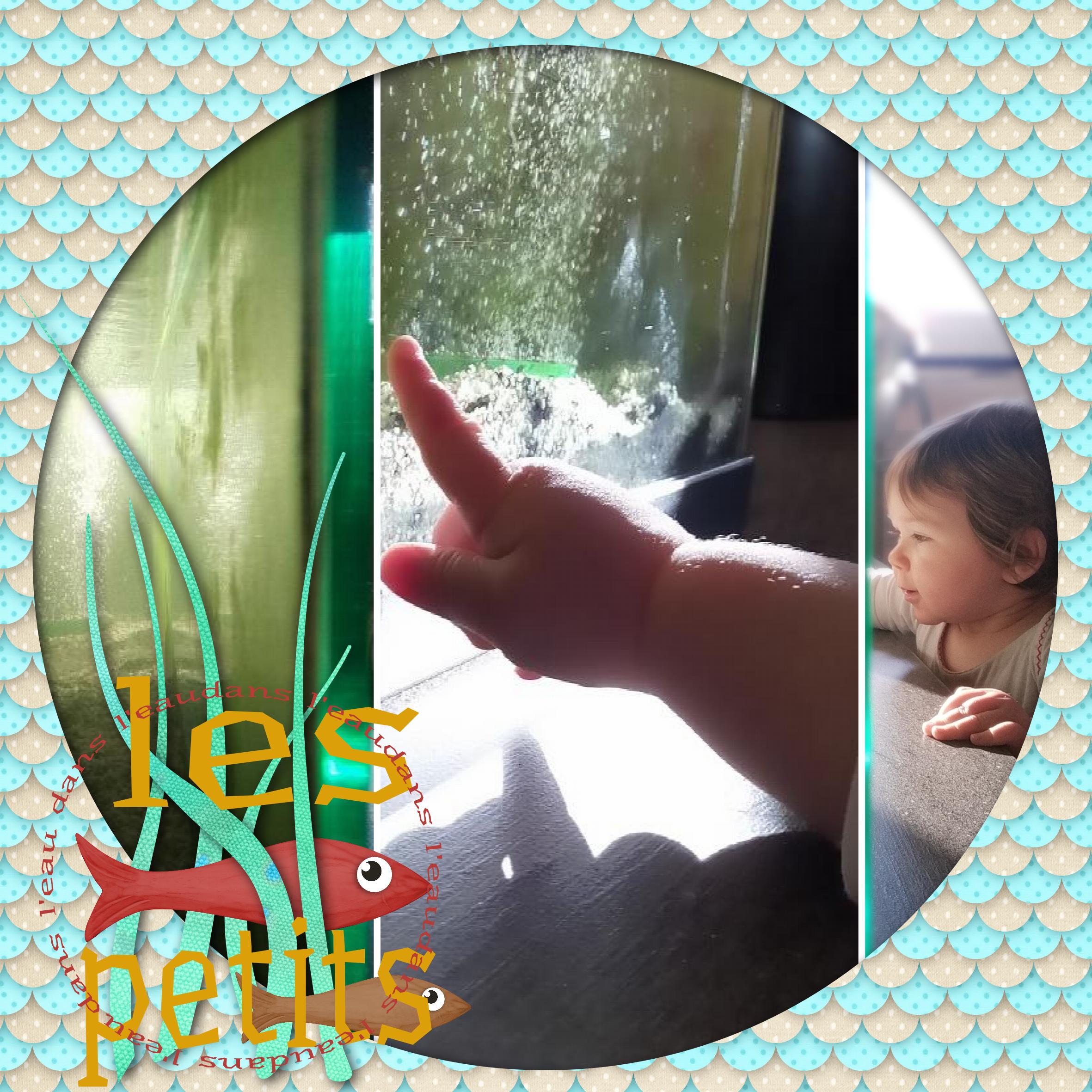 AZILIZ POISSON AQUARIUM (page 1).jpg