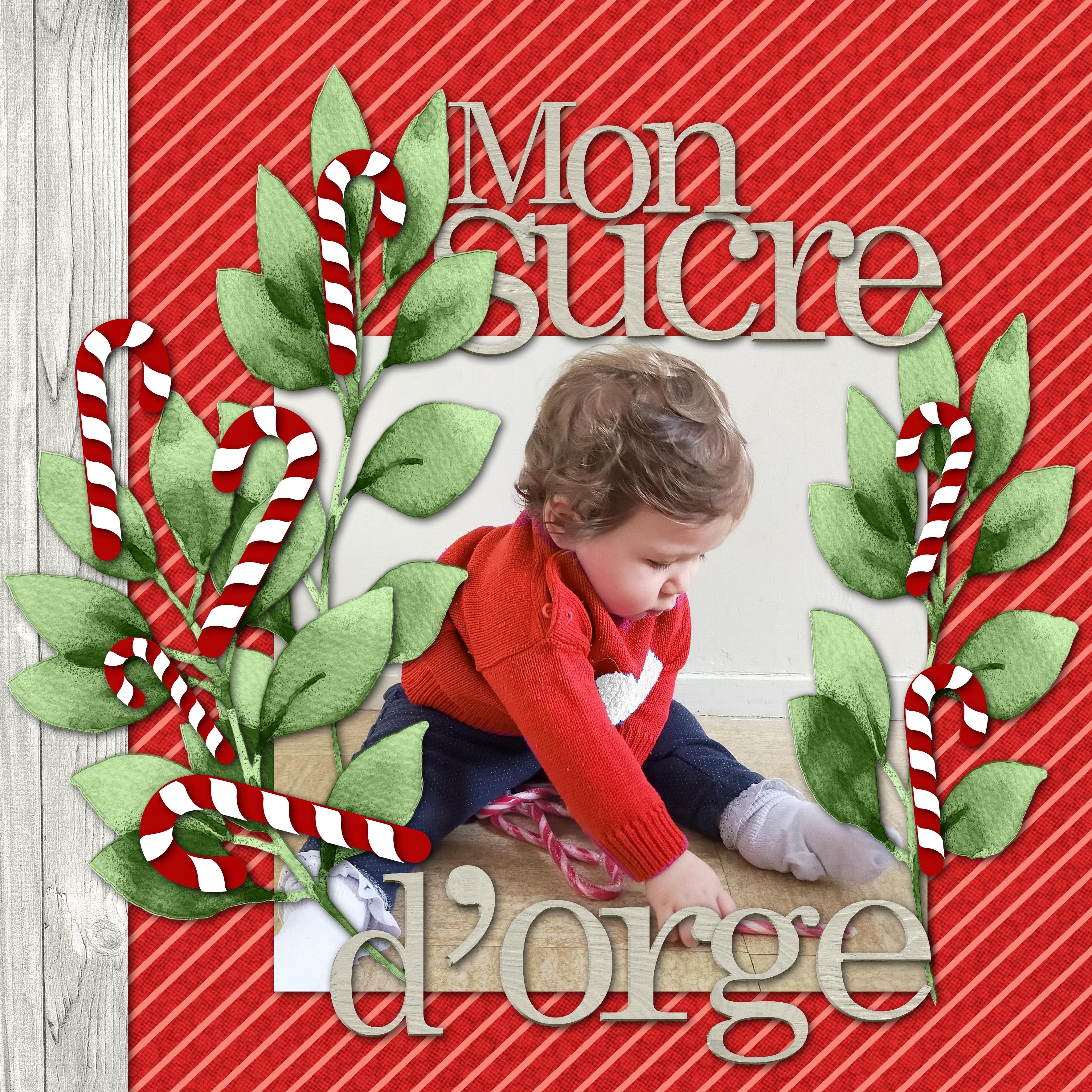 AZILIZ RAMASSE SUCRE ORGE.jpg