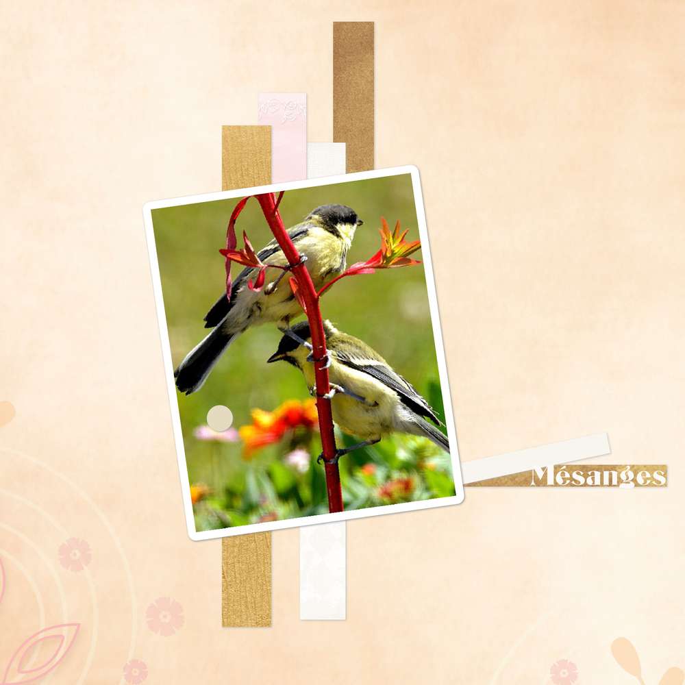 Babeline_DCS___6ans__template_