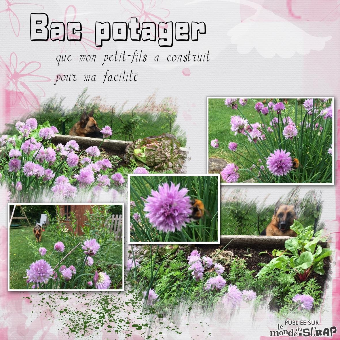 bac potager.jpg