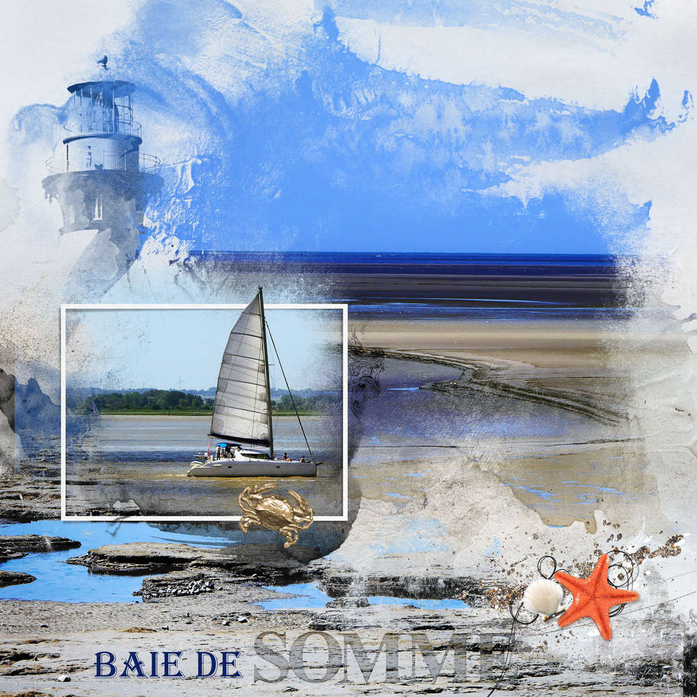 Baie de somme