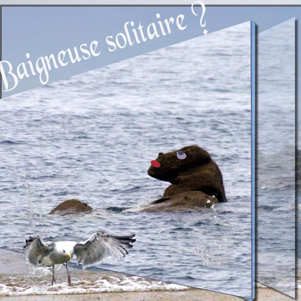 baigneuse - version voiture volée