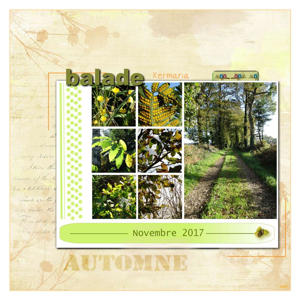 balade à vélo de novembre