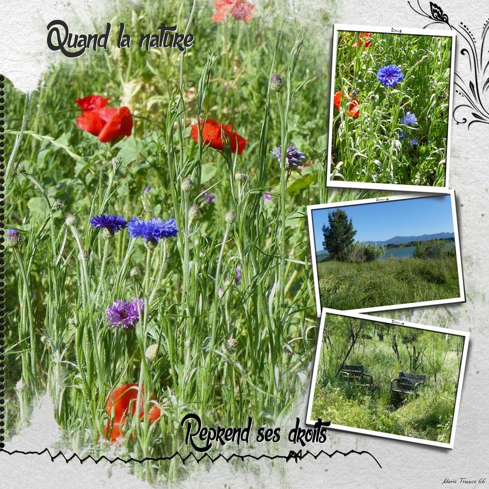 BALADE AU BORD DU LAC