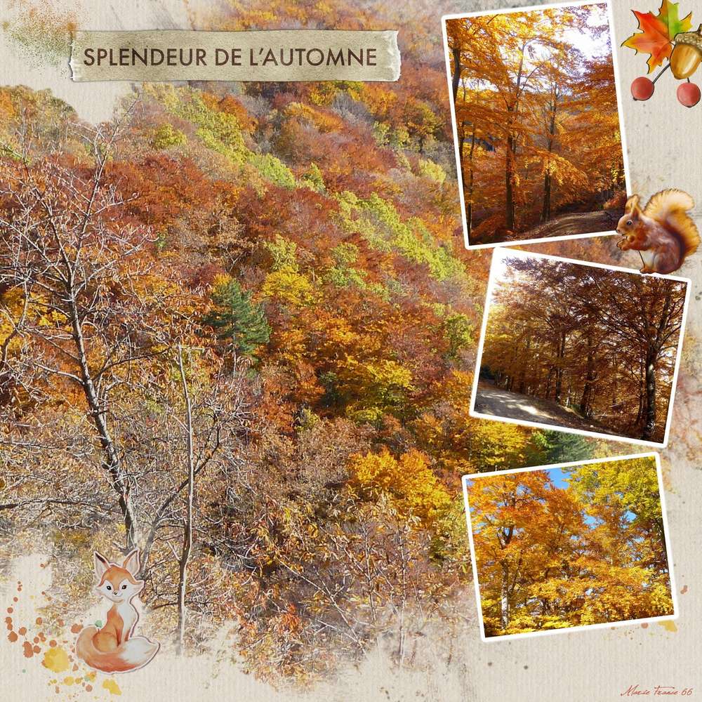 BALADE AUTOMNALE DU 26 NOVEMRE 2019