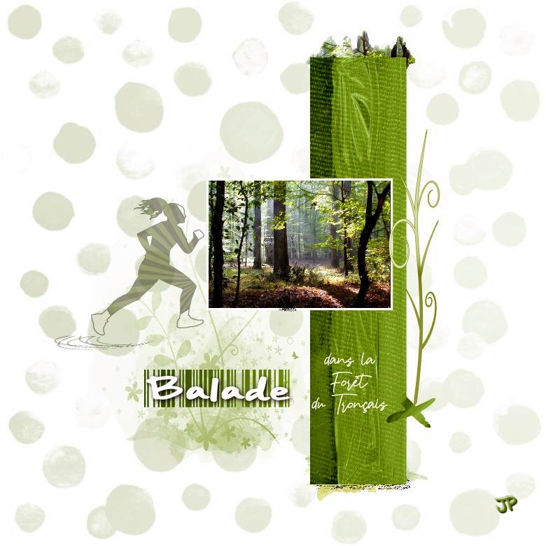 balade dans  la forêt de Tronçais 10-11-22.jpg