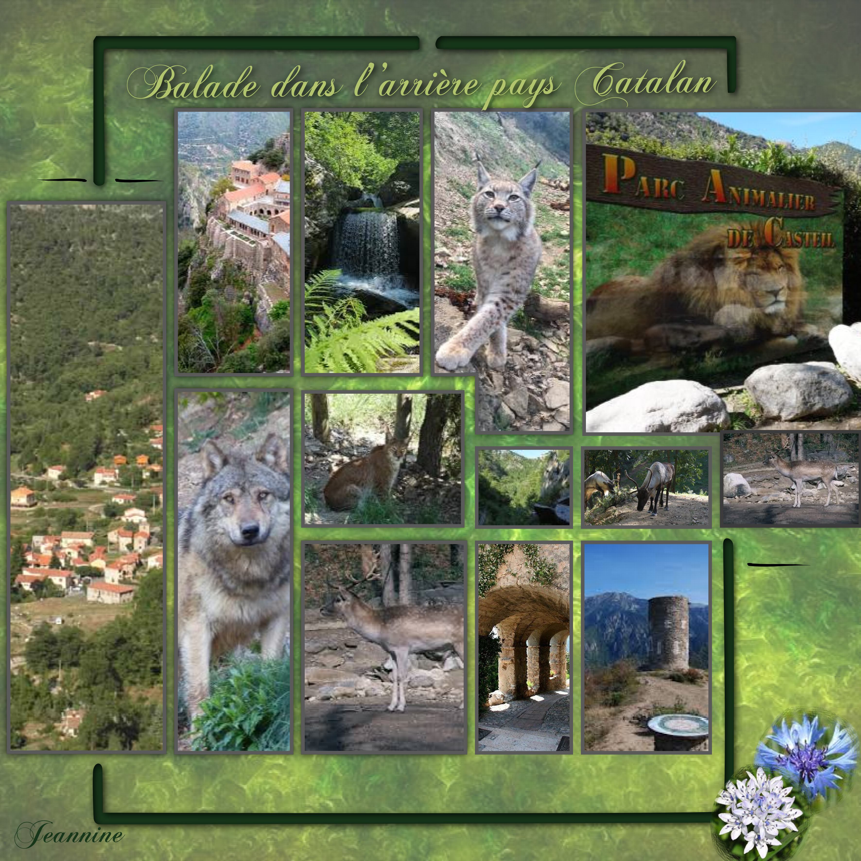 Balade dans l'arrière Pays Catalan   Jeannine.jpg