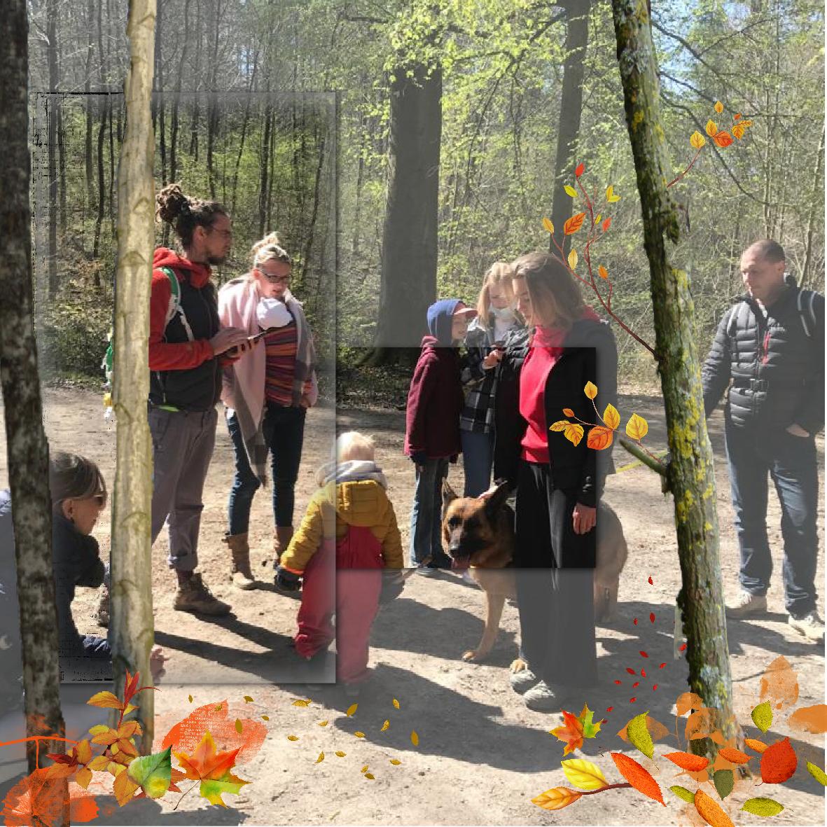 balade d'automne.jpg