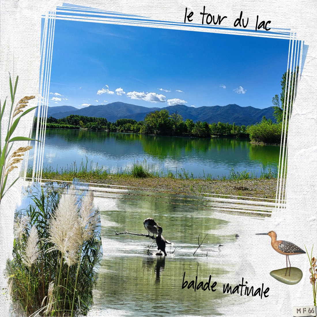 balade matinale au bord du lac 31.08.23.jpg