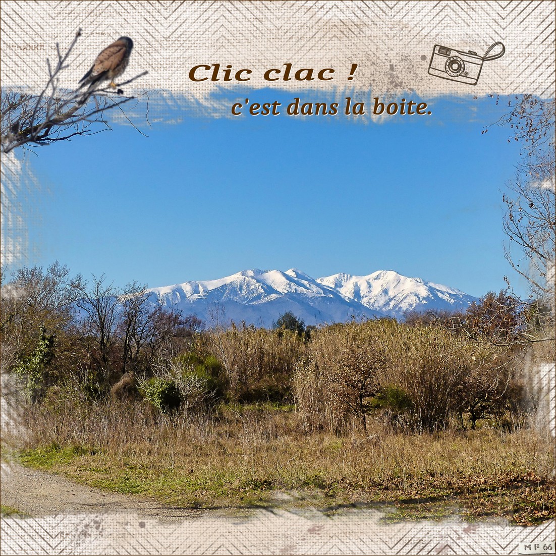 balade matinale du 23.01.22.jpg