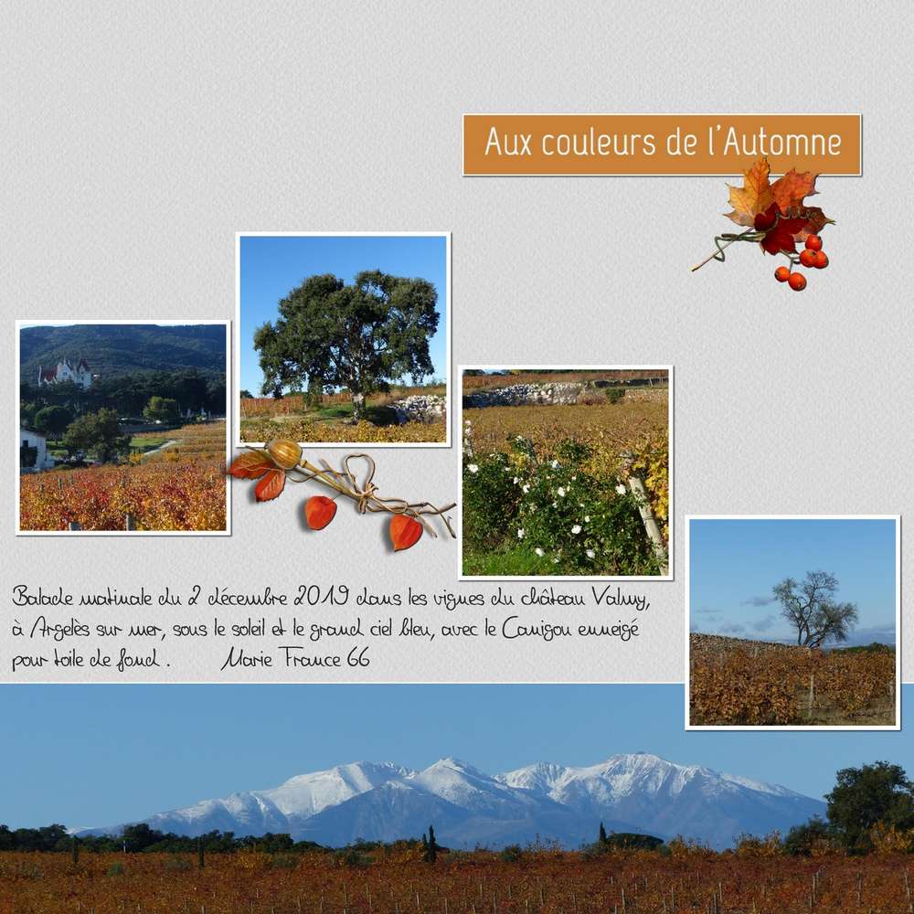 BALADE MATINALE DU JOUR