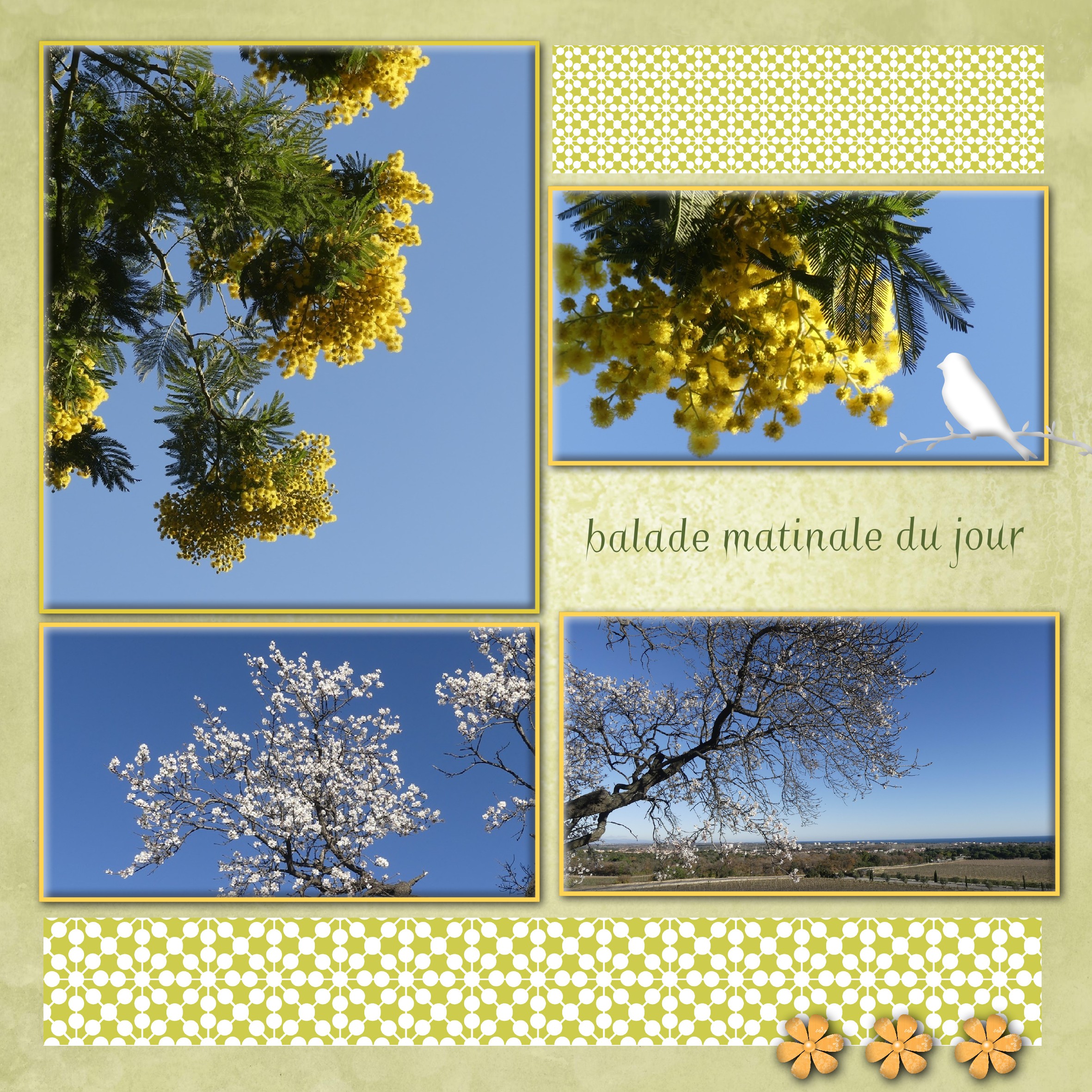 balade matinale .jpg