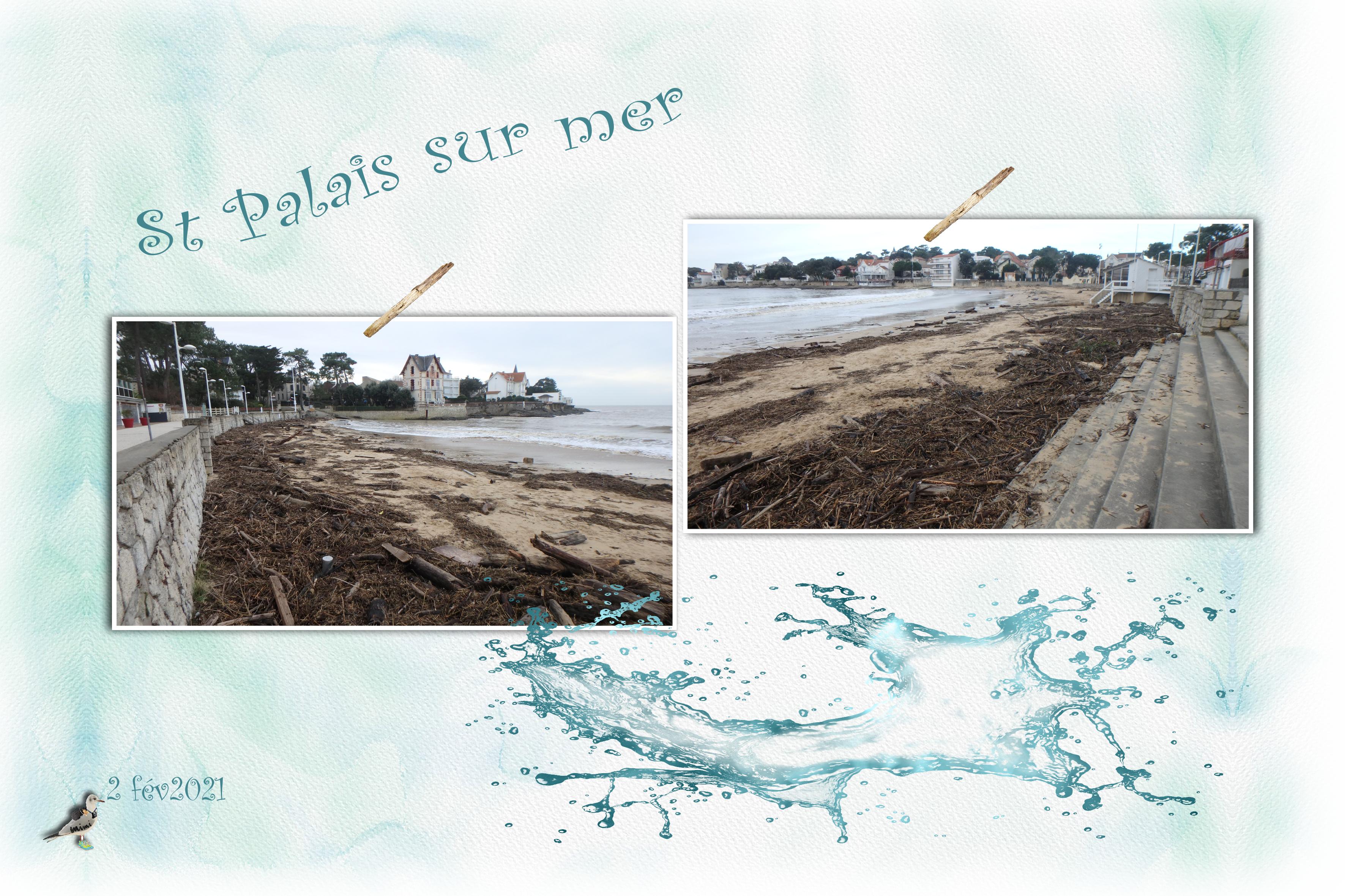 balade st Palais-2 fév.jpg