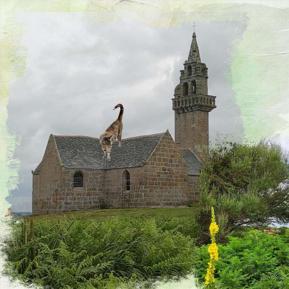 Balade sur l'Ile Callot