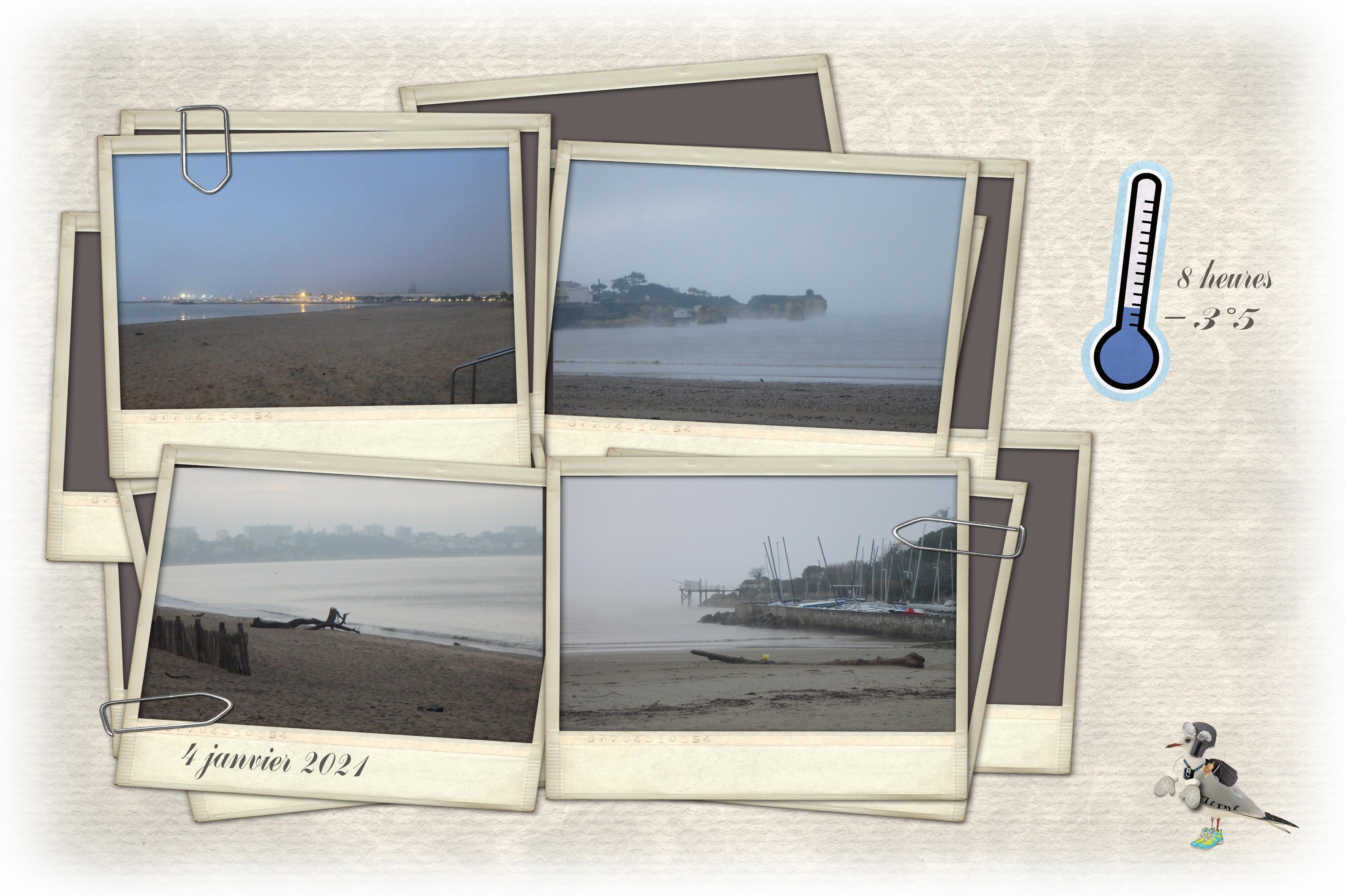 balade vers st Georges-4 janv.jpg