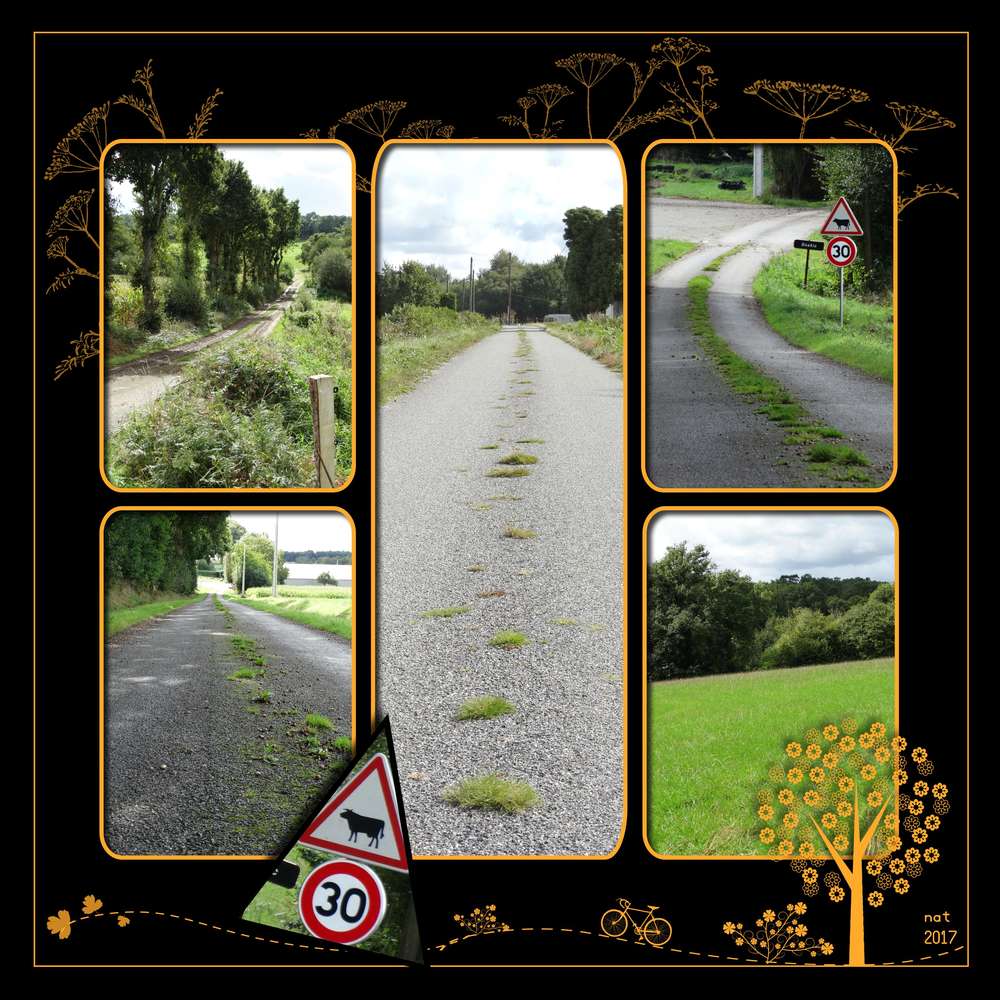 balade____v__lo_campagnarde