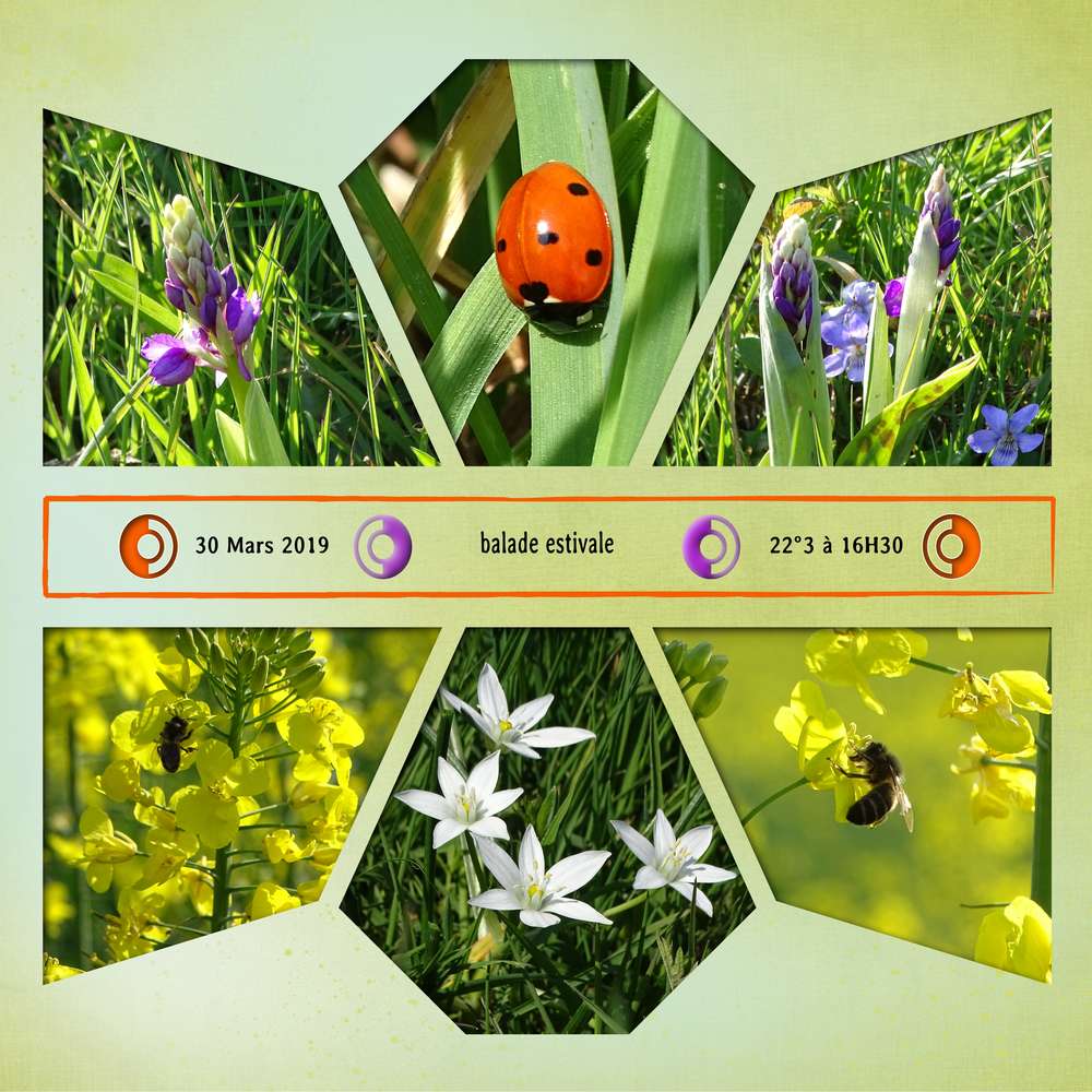 Balade_estivale_30_mars_2019