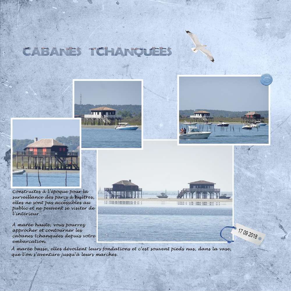 Balades arcachonnaise