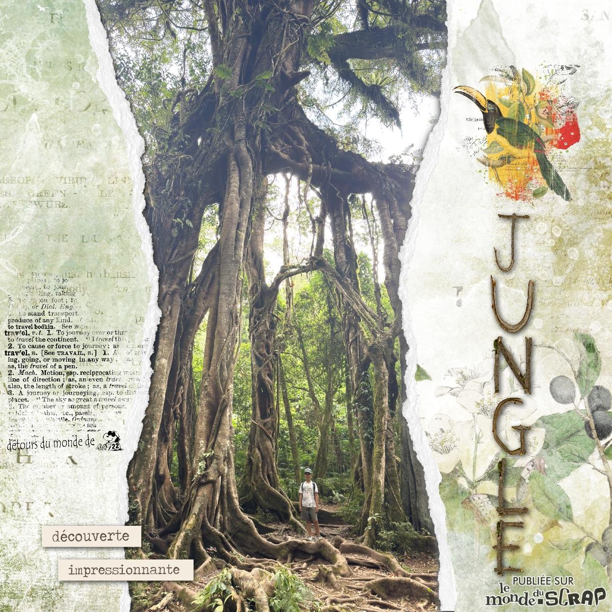 Bali - jungle