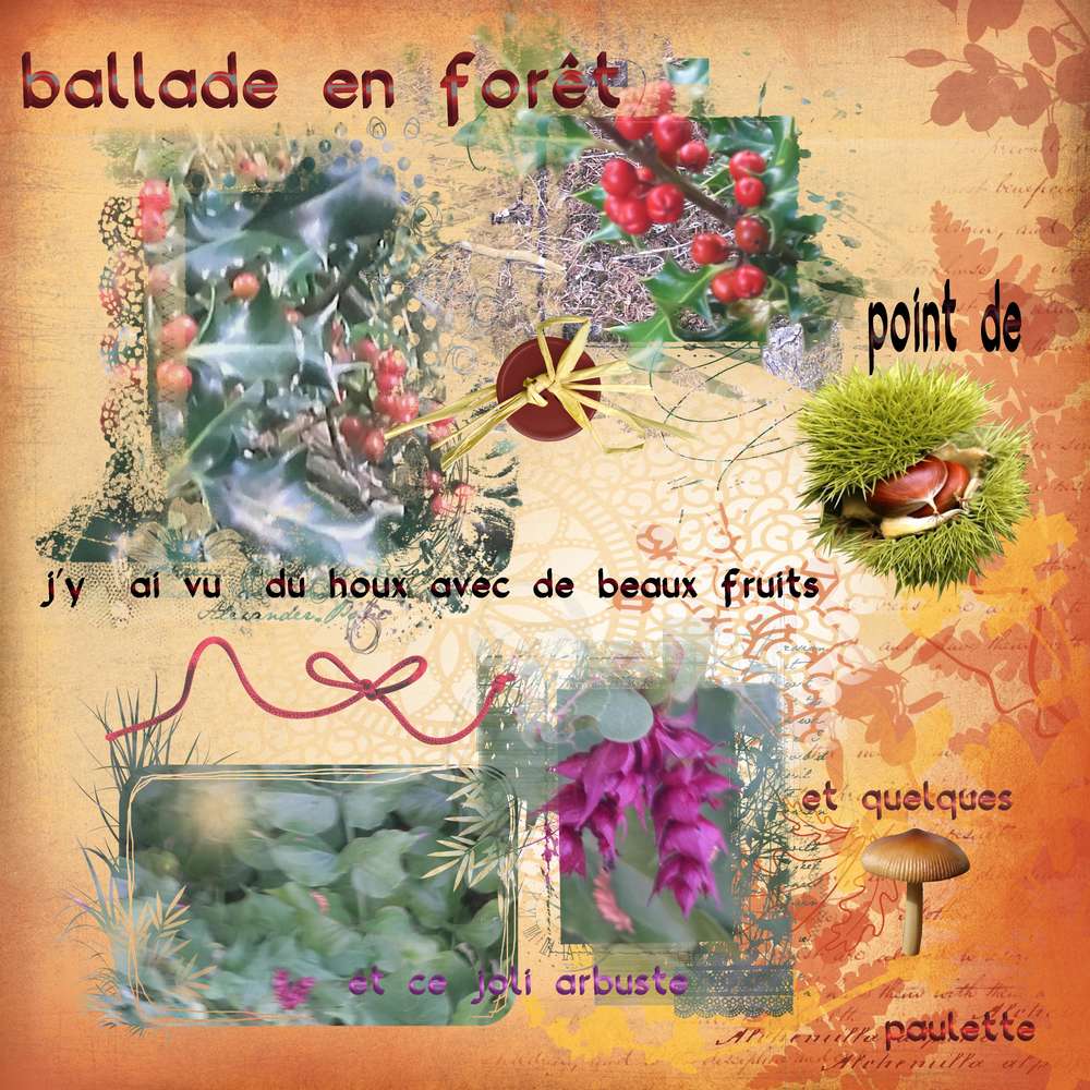ballade en foret le 02 10 16