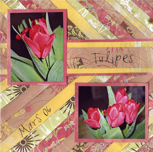 Bargello - Les Tulipes