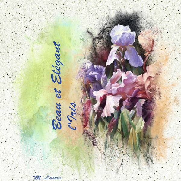 Beau et élégant ...L'Iris