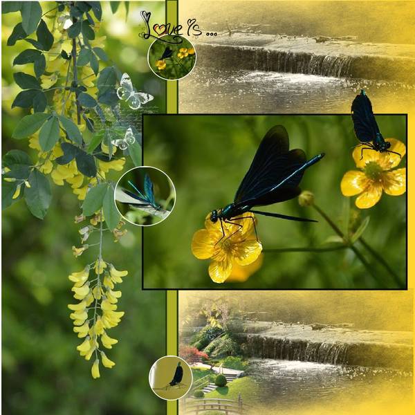 Beaut___de_la_nature