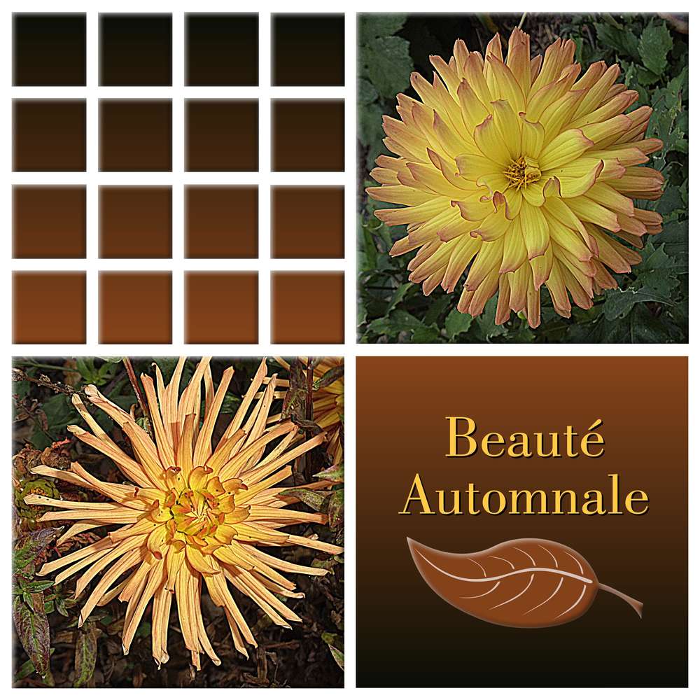 BEAUTE AUTOMNALE