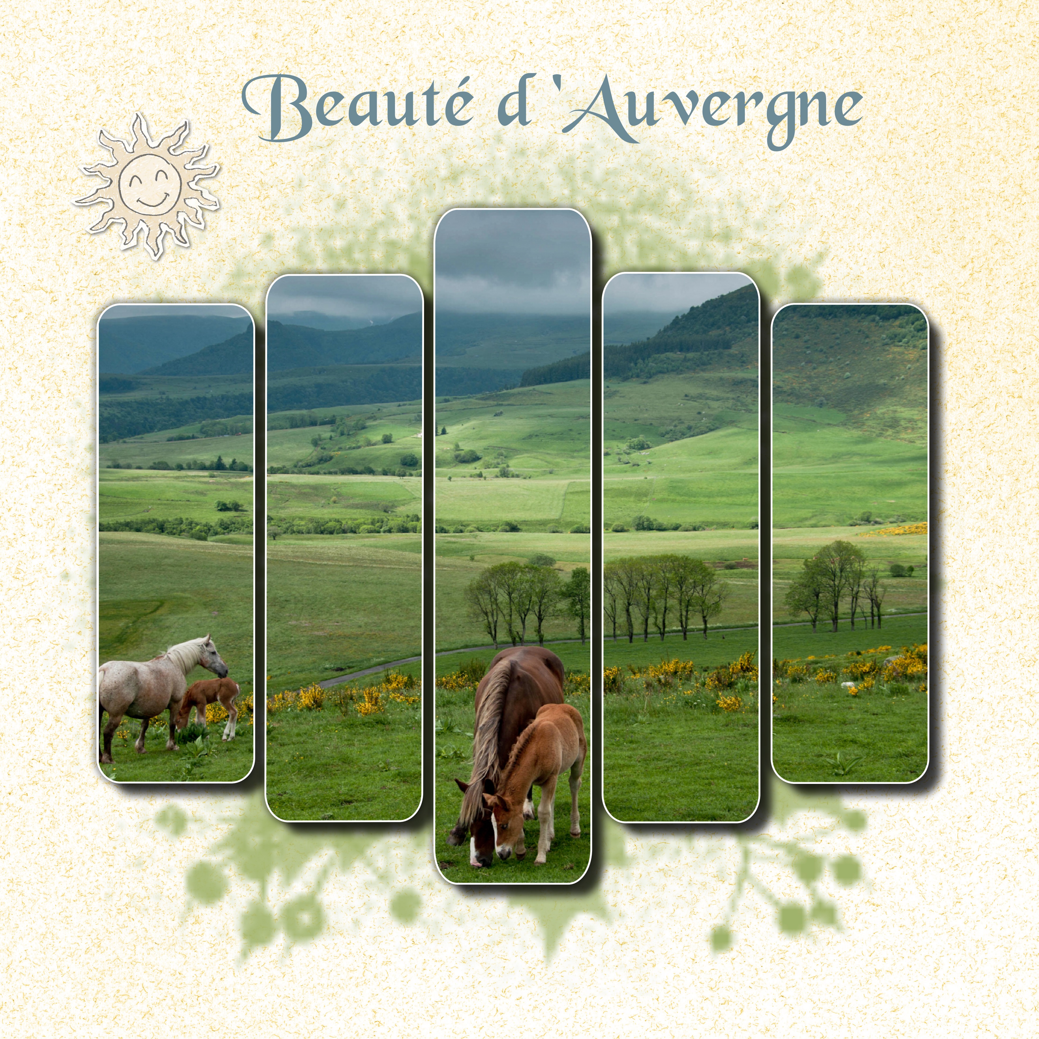 beauté d'Auvergne.jpg