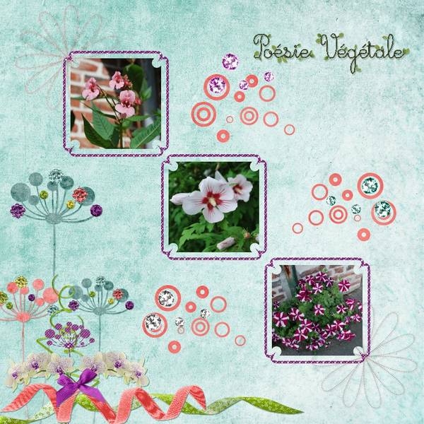 Beauté de la Nature