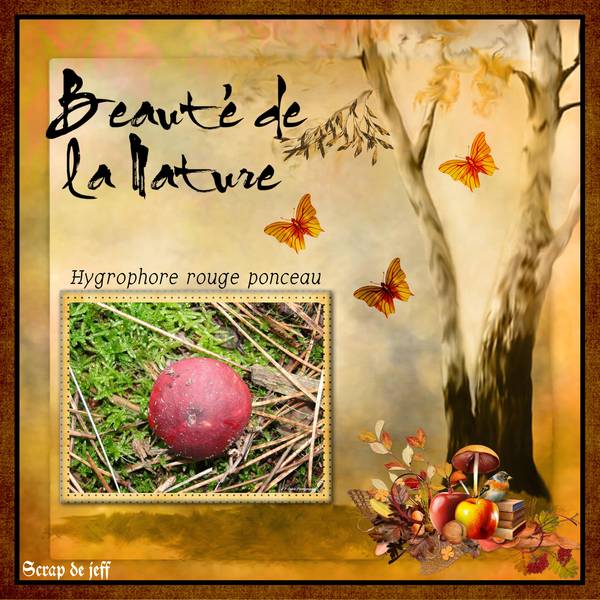 Beauté de la nature.