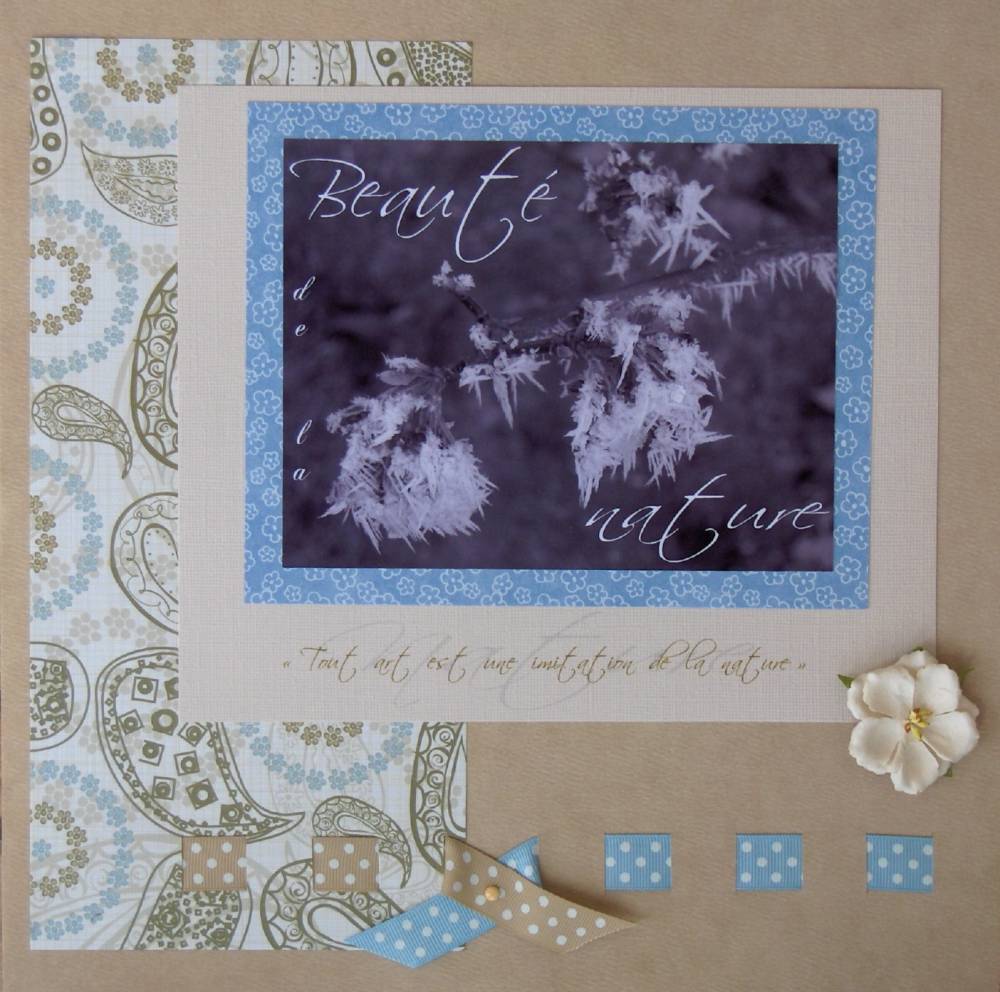 Beauté de la Nature