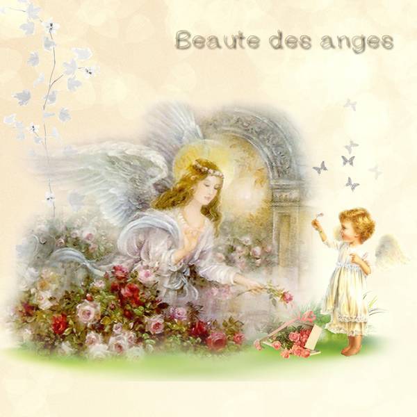 beauté des anges