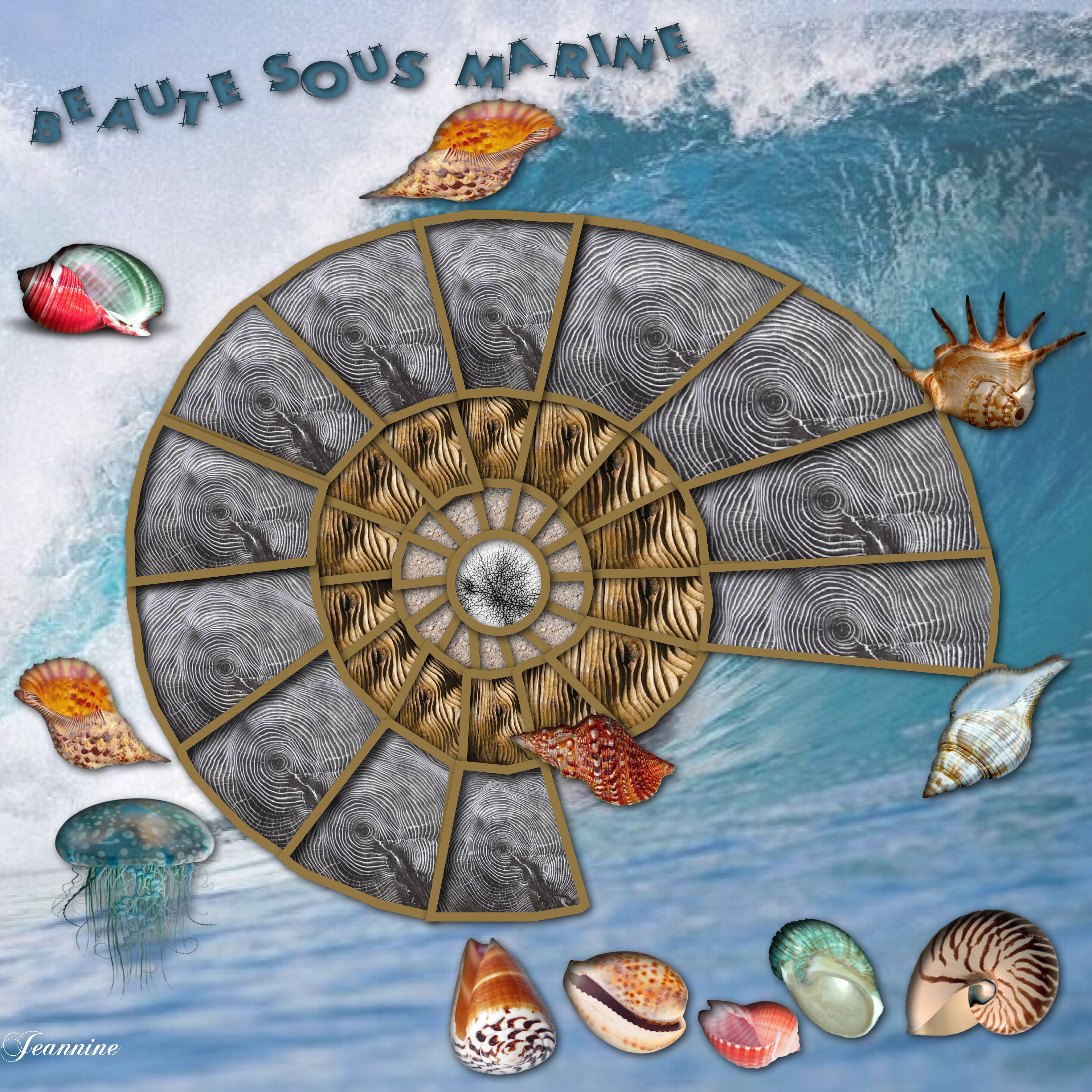 Beauté sous marine  Jeannine .jpg